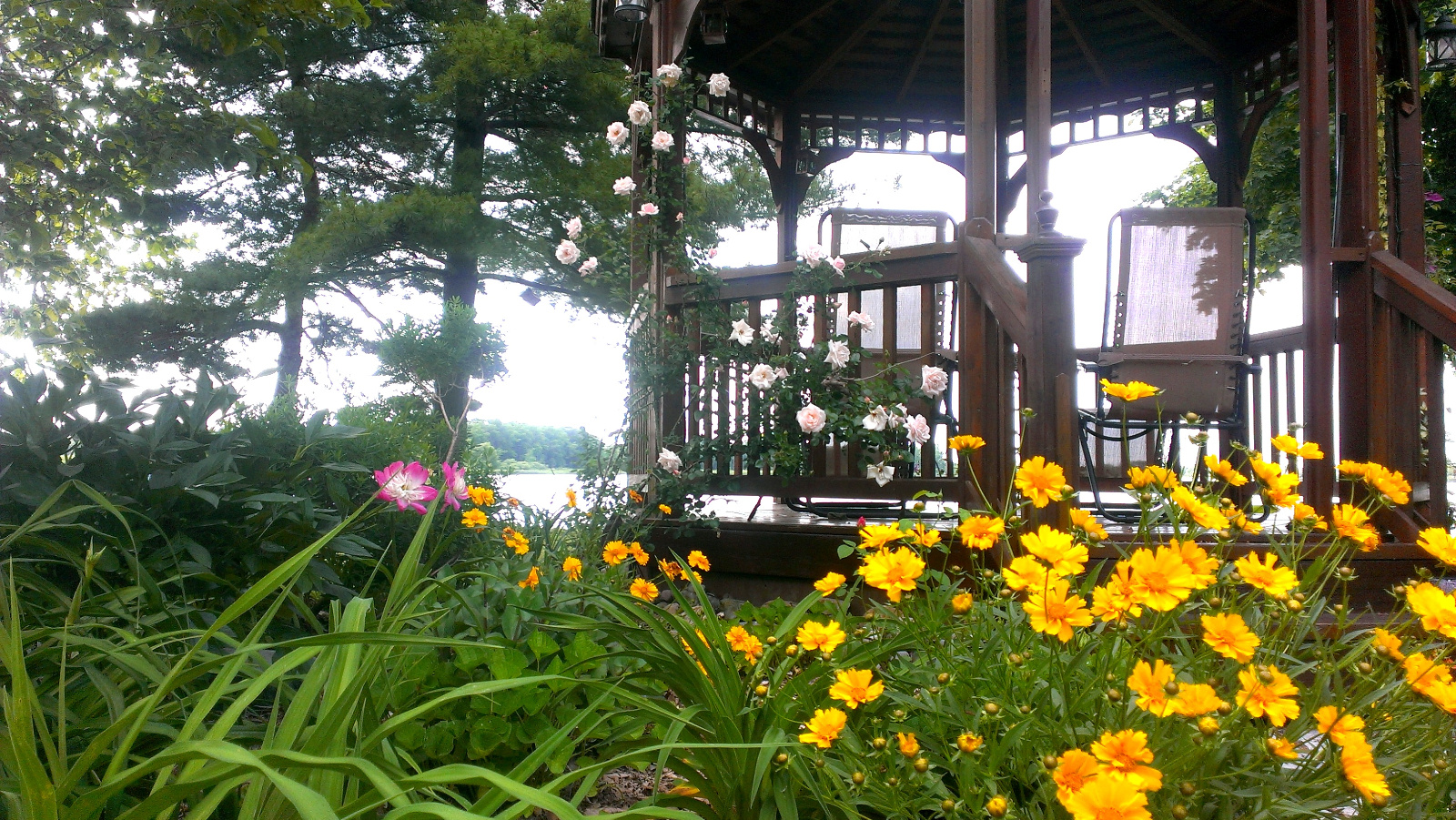 Cedar Gazebo with Peony and Coreopsis in flower